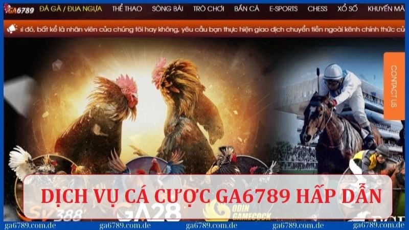 Tham gia dịch vụ cá cược tại Ga6789 với đa dạng loại hình hấp dẫn